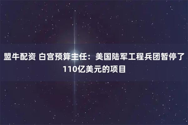 盟牛配资 白宫预算主任：美国陆军工程兵团暂停了110亿美元的项目