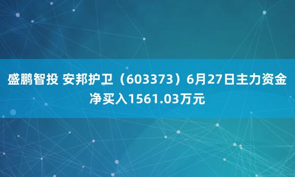 盛鹏智投 安邦护卫（603373）6月27日主力资金净买入1561.03万元