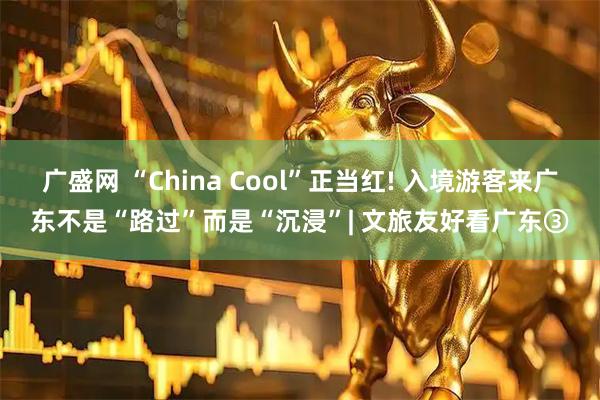 广盛网 “China Cool”正当红! 入境游客来广东不是“路过”而是“沉浸”| 文旅友好看广东③